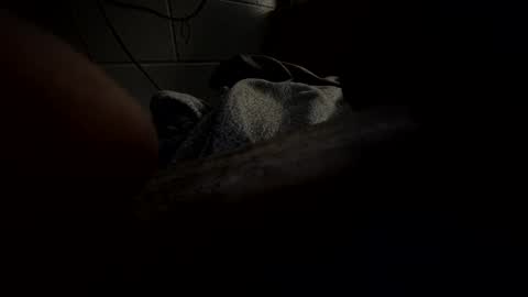 Snapshot of hartwell84 chatting on January 23, 10:22 am J Hart online show from January 23, 10:22 am