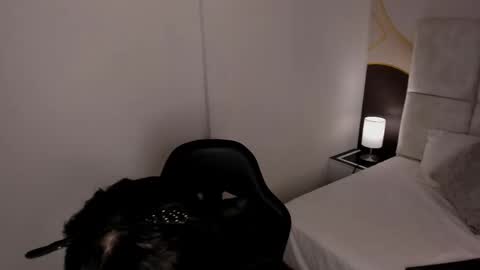 Snapshot of has_gonzalezz chatting on November 26, 4:46 am has_gonzalezz online show from November 26, 4:46 am