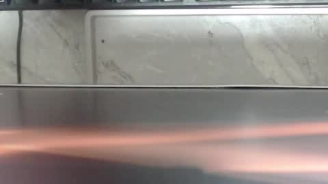 hass online show from January 31, 7:11 pm