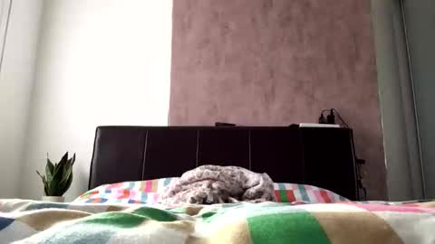 Snapshot of hayle_emmie chatting on October 22, 8:36 am Hayle online show from October 22, 8:36 am