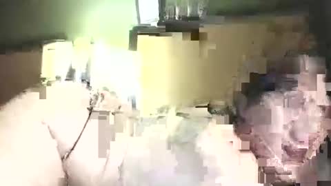 Snapshot of hazelbasil32728 chatting on October 31, 11:39 pm hazelbasil32728 online show from October 31, 11:39 pm