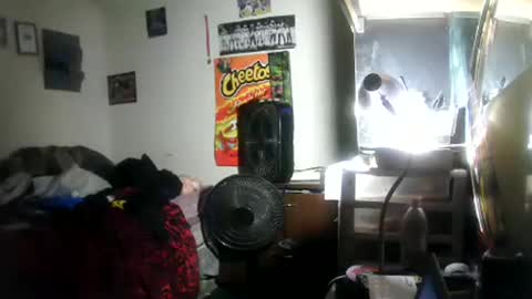 hbdj2164 online show from January 18, 5:44 am