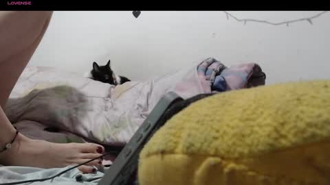 sofia online show from December 4, 1:48 am