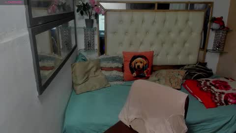 Snapshot of heiker_ chatting on November 11, 2:00 am heiker_ online show from November 11, 2:00 am