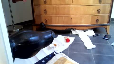 helisporty online show from November 14, 8:13 am