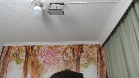 Hellen online show from December 19, 2:13 pm