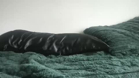 DrixxTheGod online show from April 5, 4:26 pm