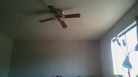 hermannbukowski online show from October 20, 4:40 pm