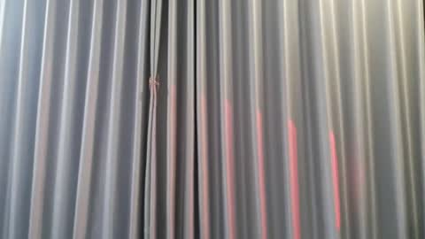 Snapshot of hersheys_aran chatting on December 3, 8:00 am Aran online show from December 3, 8:00 am