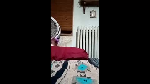 heythatguy2589 online show from March 21, 9:36 am