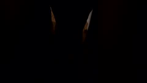 Gwen Elise online show from February 1, 4:33 am