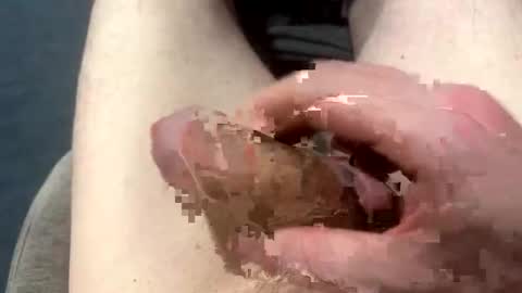 Snapshot of higradez chatting on March 24, 7:52 pm higradez online show from March 24, 7:52 pm