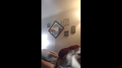 hoglegg99384194 online show from April 27, 4:32 am