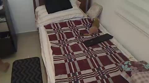 Holofernes45gil online show from April 3, 7:17 am