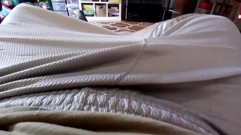 Snapshot of holycannoli123 chatting on October 15, 1:22 pm holycannoli123 online show from October 15, 1:22 pm
