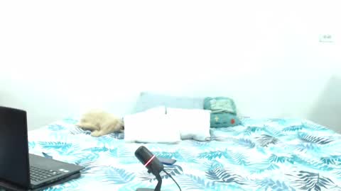 Holycode online show from February 2, 10:57 am