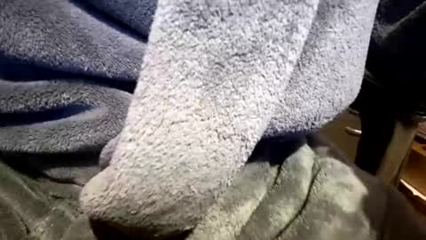 Neal online show from March 23, 2:21 pm