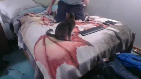 Sebastians Mess online show from October 4, 12:41 am