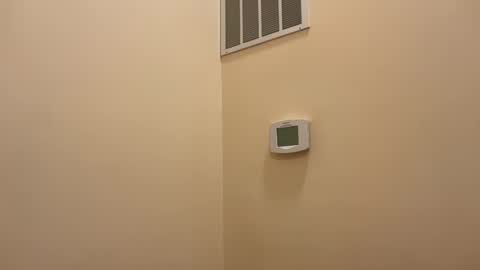 Snapshot of honey_man14 chatting on February 12, 4:57 pm honey_man14 online show from February 12, 4:57 pm