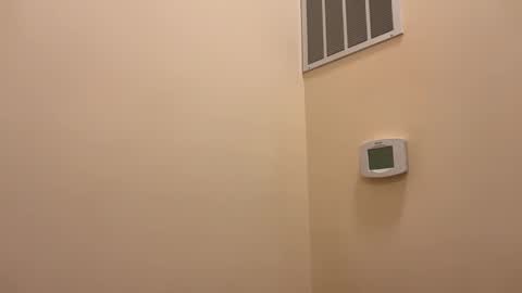 Snapshot of honey_man14 chatting on February 26, 5:56 pm honey_man14 online show from February 26, 5:56 pm