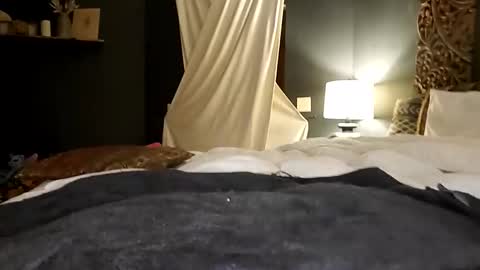 Honey online show from October 17, 6:27 am