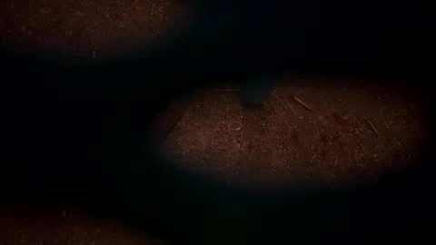 Snapshot of hopper_in_joyce chatting on March 2, 9:10 am hopper_in_joyce online show from March 2, 9:10 am