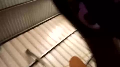horny24_7_69licker online show from September 22, 11:56 am
