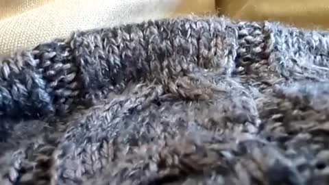 Tiny cock online show from March 2, 7:12 pm