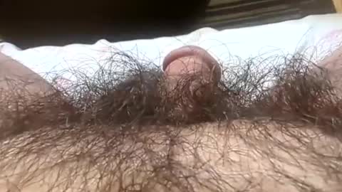 Tiny cock online show from October 26, 2:34 pm