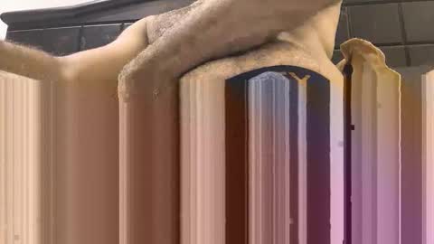 hornyboy_01z online show from September 11, 7:03 pm