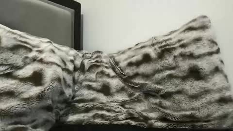 Snapshot of hornycumsh0t chatting on November 3, 1:40 am cumsh0tking online show from November 3, 1:40 am