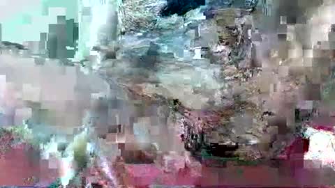 hornydrop_ online show from September 30, 11:15 am