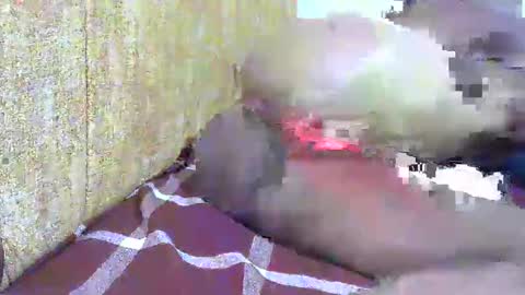 Snapshot of hot_ebony11 chatting on February 16, 7:05 pm chooo pie online show from February 16, 7:05 pm