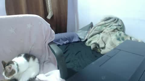 Hot and PowerHOPE U MISS ME online show from November 14, 3:49 am