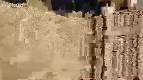 Snapshot of hotcapolx chatting on November 17, 10:32 am Hotcapolx online show from November 17, 10:32 am