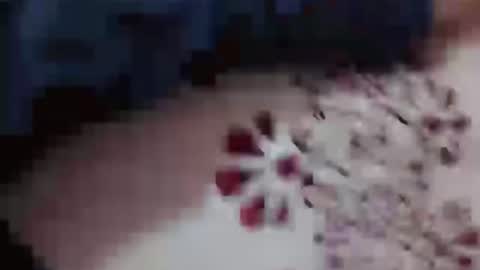 Snapshot of hotcapolx chatting on November 23, 4:51 pm Hotcapolx online show from November 23, 4:51 pm