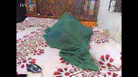 Snapshot of hotcapolx chatting on November 24, 5:34 pm Hotcapolx online show from November 24, 5:34 pm