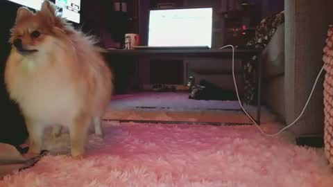 hotgirlbigbutt online show from January 17, 11:15 am