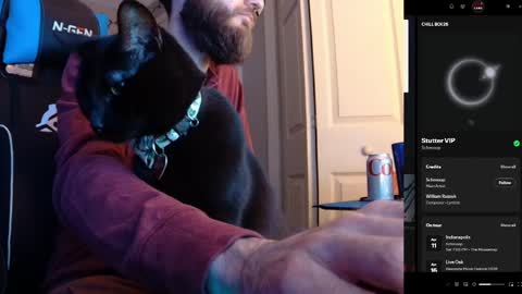 hotpumpkinpies online show from April 5, 2:31 am