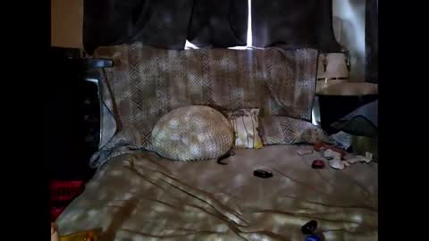 Snapshot of hotrox6942 chatting on September 24, 10:51 am hotrox6942 online show from September 24, 10:51 am