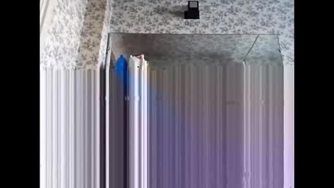 hpdpeter online show from January 11, 12:43 pm