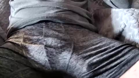 Snapshot of hugepecker131 chatting on December 18, 1:17 pm hugepecker131 online show from December 18, 1:17 pm