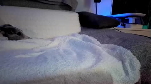 Hugo online show from February 14, 8:26 pm