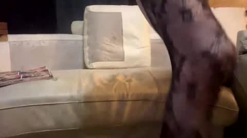 huippari online show from December 15, 11:09 pm