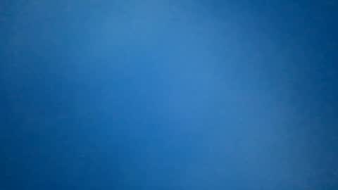 hummelbummel00 online show from February 11, 7:19 pm