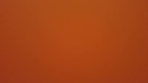 hundeleine online show from December 19, 11:28 am