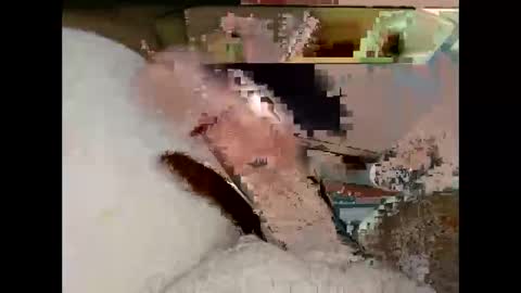 Snapshot of hung_mac0 chatting on March 19, 7:18 pm hung_mac0 online show from March 19, 7:18 pm