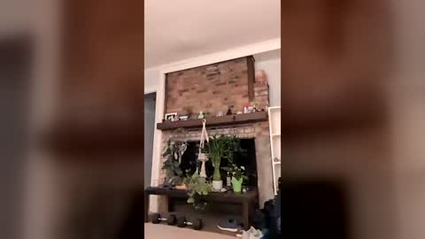 hungitalian40 online show from July 24, 10:24 am