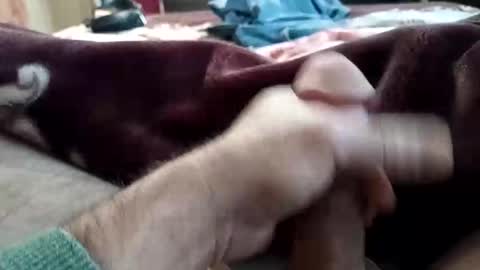 husky1511 online show from November 11, 9:20 am