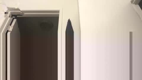 hustlemacc online show from January 12, 3:50 pm